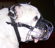Royal Quality Wire Basket Muzzle for English Bulldog