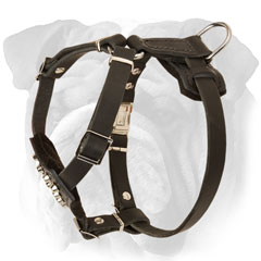 Leather English Bulldog Puppy Harness with Strong Fittings