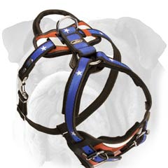 American Flag Leather English Bulldog Harness to Walk Your Dog