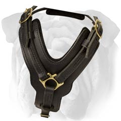 Exclusive Leather English Bulldog Harness