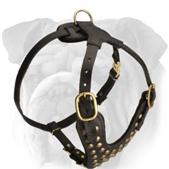 Easy-To-Use Studded Leather Dog Harness for English  Bulldog