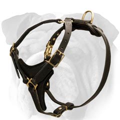 Extra Durable Leather Dog Harness