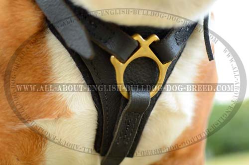 Hypoallergic Leather English Bulldog Harness