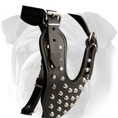 Non-Toxic Leather English Bulldog Harness