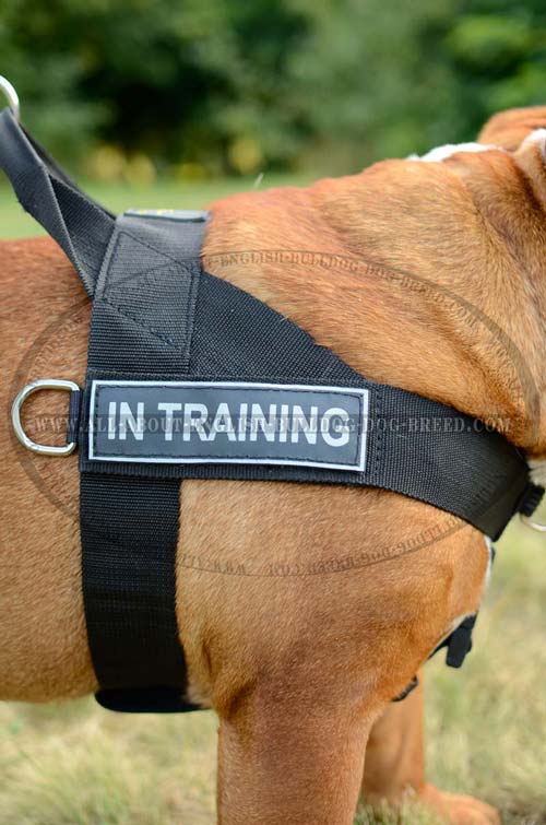 Hypoallergic Nylon Dog Harness