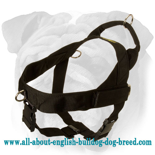 Multifunctional Nylon Rottweiler Harness with ID Patches [H17