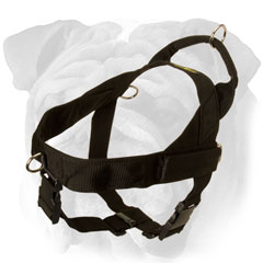 Durable Nylon Dog Harness