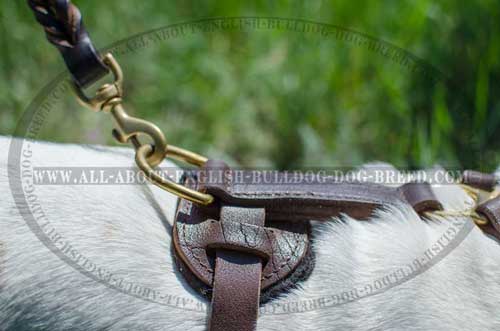 Non-Toxic Leather Harness for English Bulldog