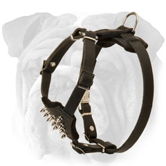 Leather English Bulldog Puppy Harness with D-Ring
