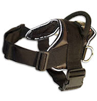 Hug a dog harness for English Bulldog Hug a dog harness for English Bulldog