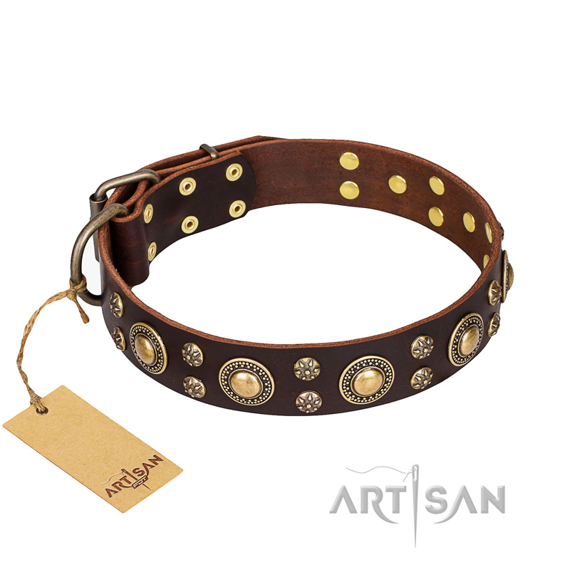 'Flower Melody' FDT Artisan Brown Leather English Bulldog Collar with Mixed Studs