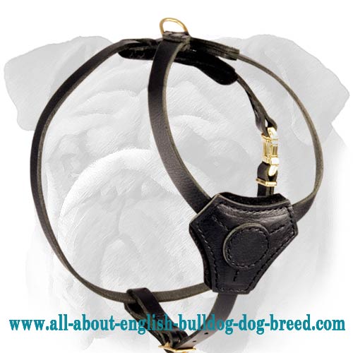 Easy Adjustable Leather Canine Harness for English Bulldog Puppy Walking
