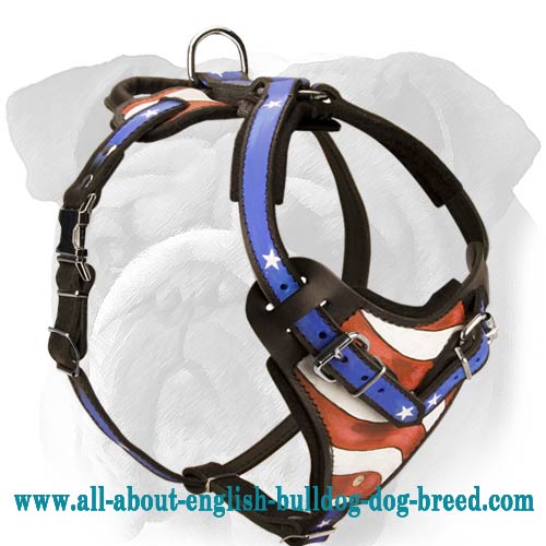 Fashion American Flag Leather Harness for English Bulldog