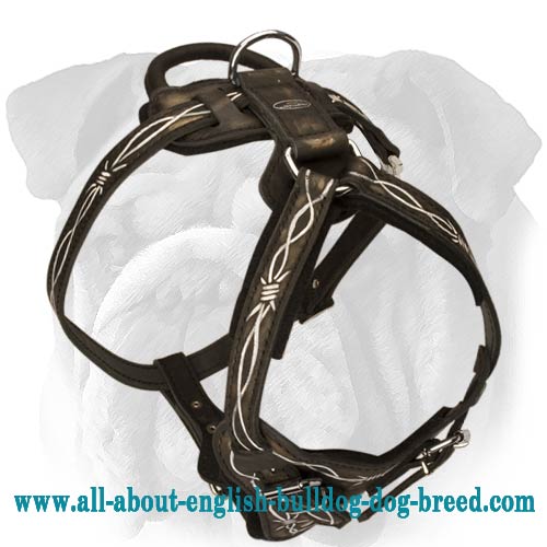 Fashion Hand Painted Leather Harness for English Bulldog