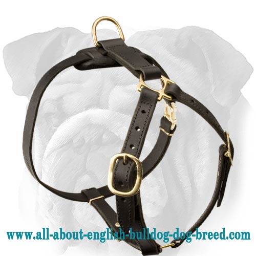 Super Lightweight Adjustable Leather Dog Harness for English Bulldog Tracking Work