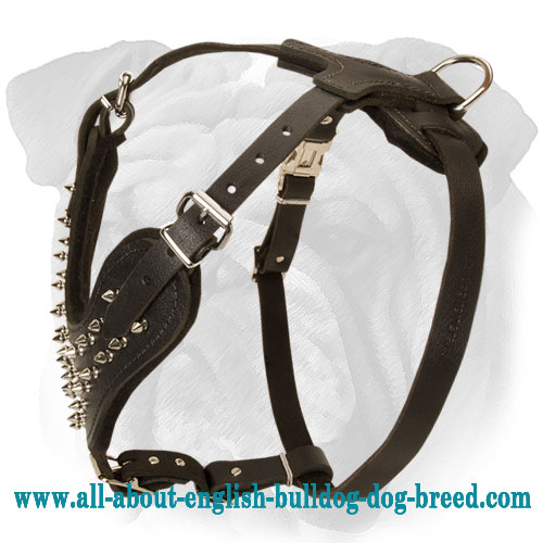 Chic Leather English Bulldog Harness with Riveted Spikes