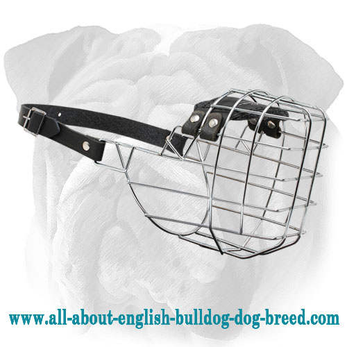 "Complete Freedom" Wire Basket Dog Muzzle for English Bulldog