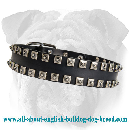 Stylish Leather English Bulldog Collar - Click Image to Close