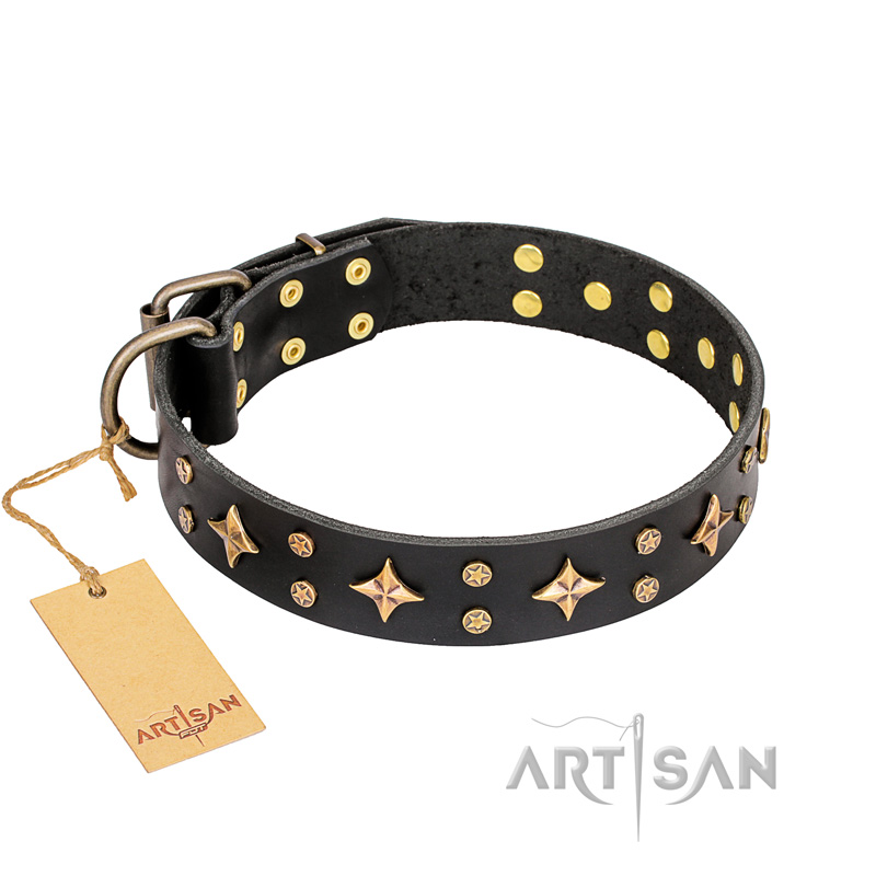 'A La Mode' FDT Artisan Handcrafted Black Leather English Bulldog Collar