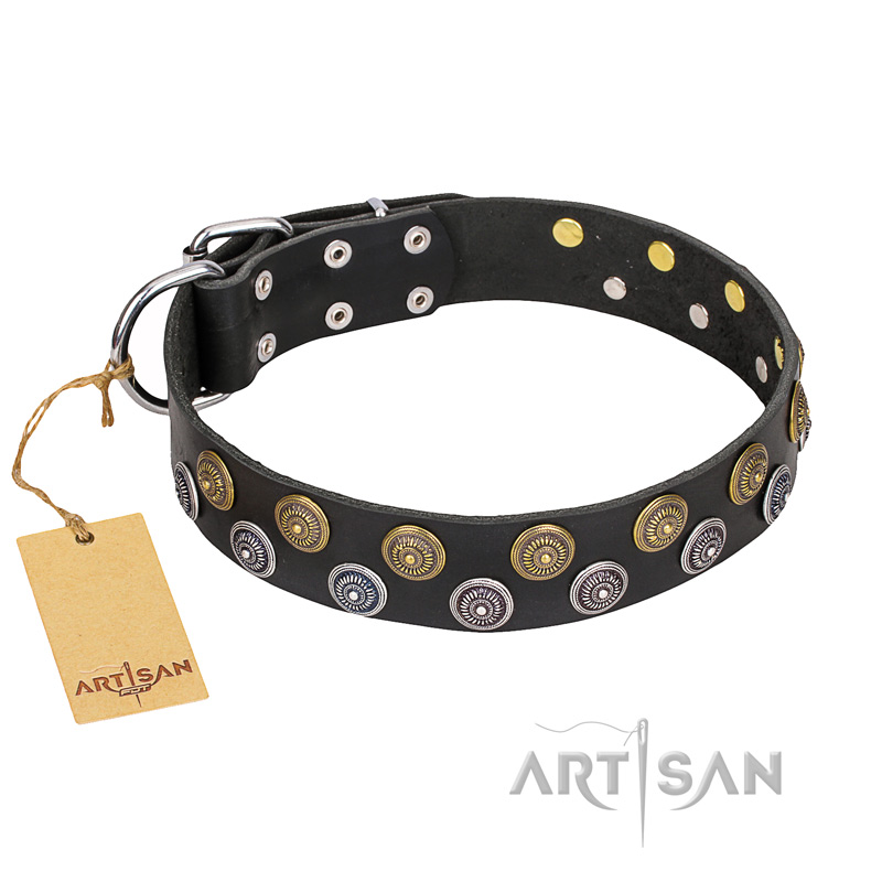 "Romantic Breeze" FDT Artisan Black Leather English Bulldog Collar with Riveted Circles