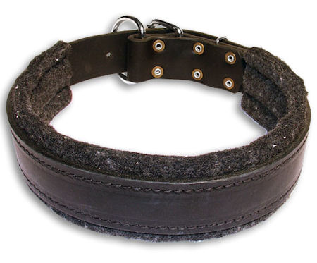 Leather Padded Black collar 25'' for English Bulldog /25 inch dog collar