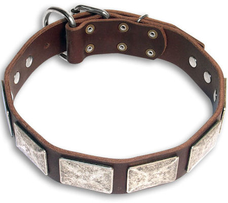 Bulldog GREAT Brown dog collar 19 inch/19'' collar -c83