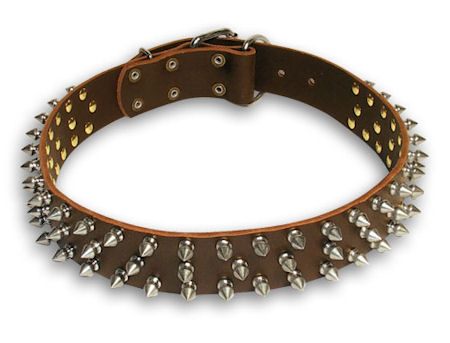 Spiked Brown collar 24'' for English Bulldog /24 inch dog collar