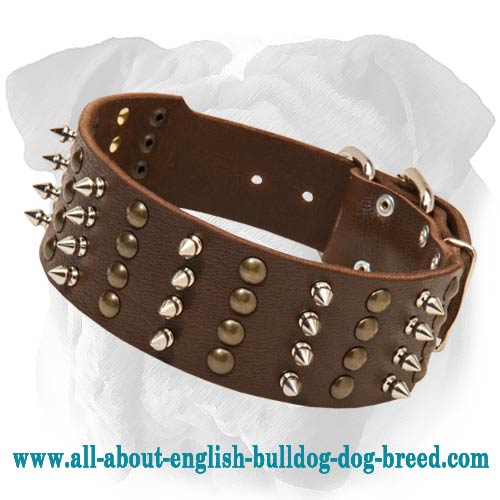 Leather English Bulldog Collar | Rustproof Studs and Spikes