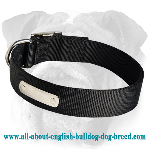 2 Ply Nylon Collar With Name Tag for English Bulldog - Click Image to Close