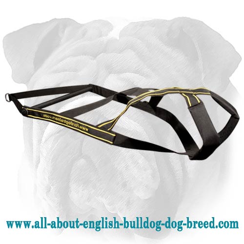 Fantastic Pulling Nylon Dog Harness for English Bulldog Breed