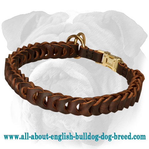 High Quality Choke Leather English Bulldog Collar | Quick Release Buckle