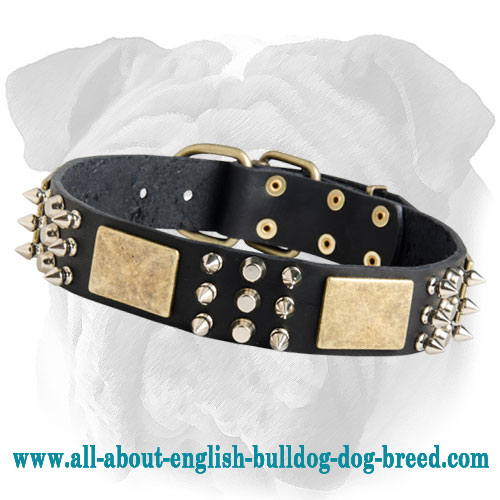 Bulldogs Dog Leather Dog Collar with Brass Adornment
