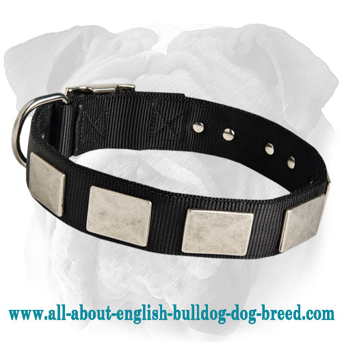 Comfortable Plated Nylon English Bulldog Collar