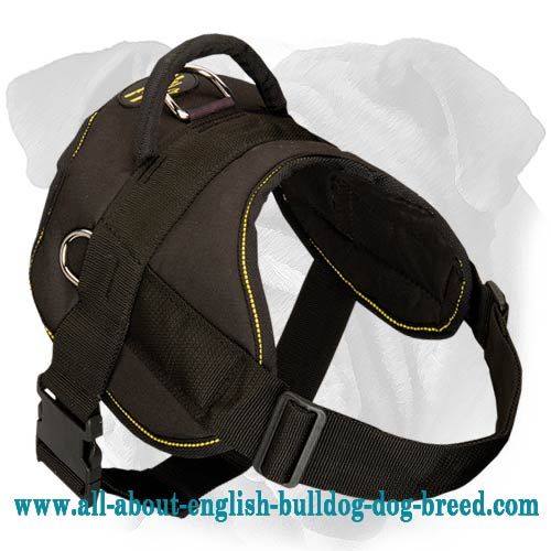 Practical Nylon English Bulldog Harness for Any Weather