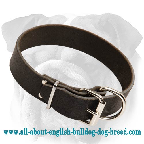 English Bulldog Breed Leather Collar | Wide Dog Supply - Click Image to Close