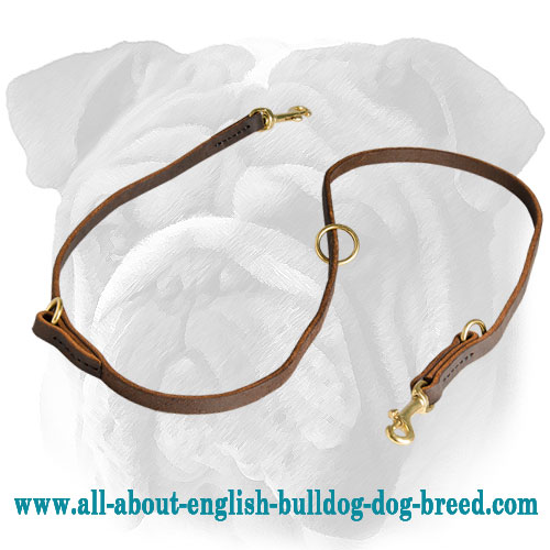 Leather English Bulldog Leash for Training, Walking, Tracking