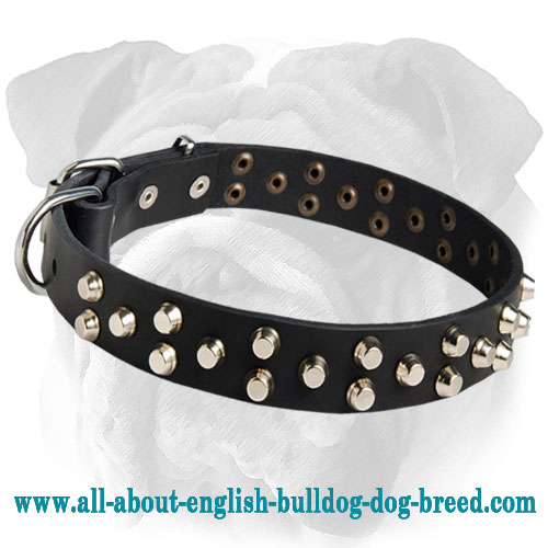Adjustable English Bulldog Studded Leather Collar
