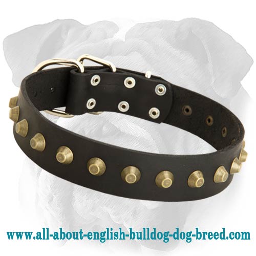 Wide Studded Leather English Bulldog Collar