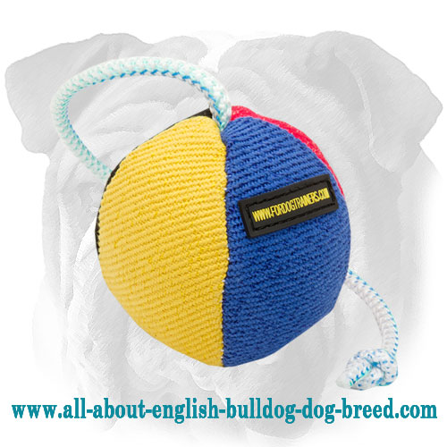 Hypoallergic Training English Bulldog Toy