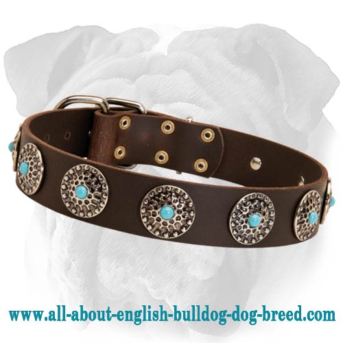 Stylish English Bulldog Wide Leather Collar | Blue Stones - Click Image to Close