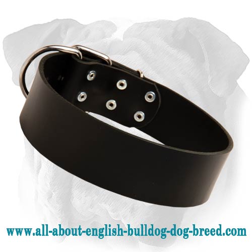Reliable English Bulldog Wide Leather Collar - Click Image to Close