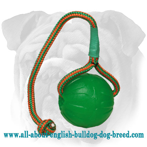 Water Floating Rubber English Bulldog Toy [TT241093 Water Rubber Chew