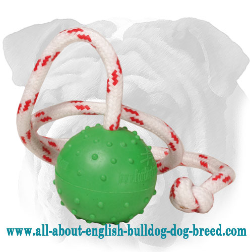 Floating Rubber English Bulldog Toy for Encouraging Positive Play - Small - Click Image to Close