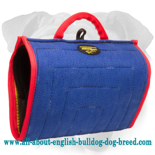 Bite Builder of French Linen for English Bulldog