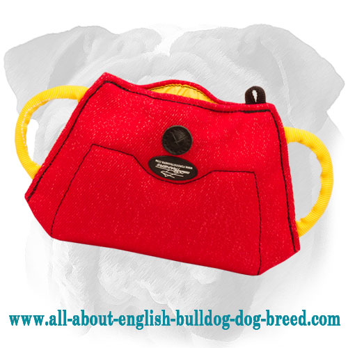 French Linen English Bulldog Bite Builder for Advanced Puppy Training