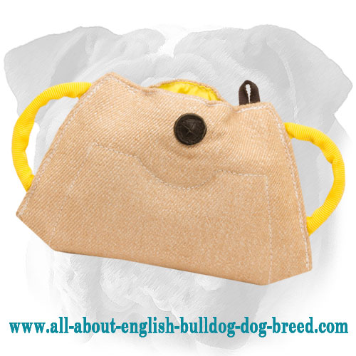 Jute Puppy Dog Builder for English Bulldog Advanced Training