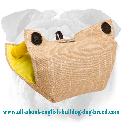 Jute Puppy Dog Builder for English Bulldog Basic Training