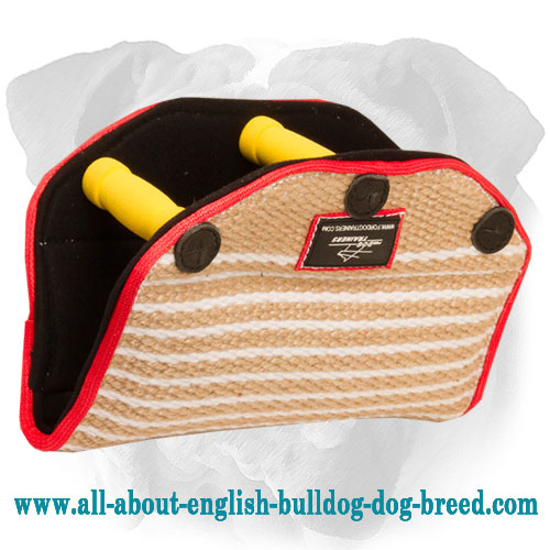 Best Puppy Bite Builder with 3 Handles for English Bulldog