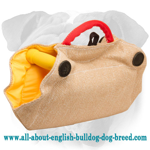 English Bulldog Jute Bite Builder for Puppies and Young Dogs