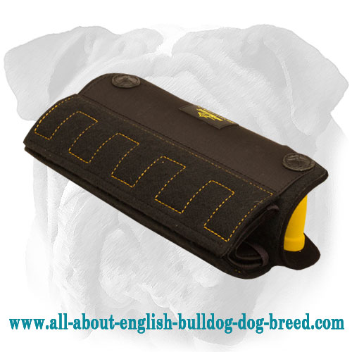 Puppy and Young Dog Bite X-Builder for English Bulldog Breed